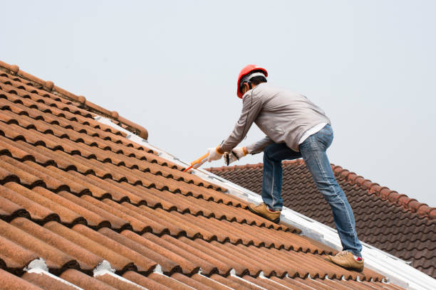 Best Gutter Installation and Repair  in Hazen, ND
