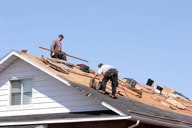 Best Storm Damage Roof Repair  in Hazen, ND